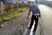 ” Unit Laka Polres Mamuju Utara Olah Tkp Tabrak Maut “