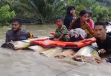 Polres Mamuju Utara Evakuasi Korban Banjir Di Desa Ompi.