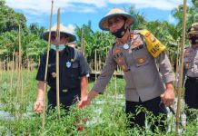 Kapolres Pasangkayu Launching Kampung Tangguh Samusena’na.