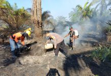 Personil Polsek Sarudu Bersama Warga Kota Memadamkan Api Kebakaran Lahan Sawit.