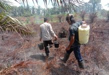 Bhabinkamtibmas Polsek Sarudu Bantu Padamkan Api di Lahan Warga