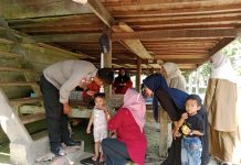 Sukseskan Program Pencegahan Stunting, Bhabinkamtibmas Polsek Baras Lakukan Pendampingan Posyandu