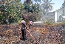 Respon Cepat, Polsek Pasangkayu Datangi TKP Kebakaran Lahan Kosong Milik Warga