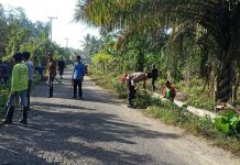 Gotong Royong: Bhabinkamtibmas Polsek Bambalamotu bersama Mahasiswa KKN Dan Warga Lakukan Kerja Bakti