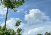 Bhabinkamtibmas Polsek Bambalamotu Lakukan Pendampingan Pemasangan Patok Alat Kampanye