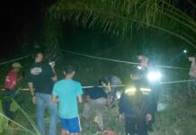 Quick Respon, Polres Pasangkayu Terima Laporan Langsung Datangi TKP Penemuan Mayat.