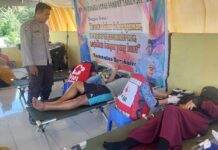 Bhabinkamtibmas Polsek Bambalamotu Pantau Kegiatan Donor Darah Dalam Rangka Akhir Tahun di Desa Binaan