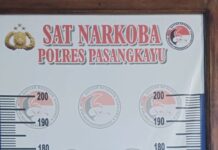 Bawa Sabu 59 Sachet, Warga Sigi Ditangkap Sat Narkoba Polres Pasangkayu