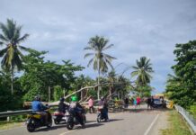 Gotong Royong Bersama Warga, Personel Polsek Bambalamotu Singkirkan Pohon Tumbang Dijalan