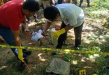 Gerak Cepat Personel Polsek Bambalamotu Datangai TKP Penemuan Mayat