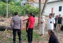 Hewan Ternak Milik Warga Tiba-tiba Mati, Bhabinkambitmas Polsek Pasangkayu Langsung Datangi TKP