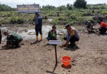 Kapolsek Baras Hadiri Penanaman Pohon Secara Serentak Dalam Rangka Dukung Program Ketahanan Pangan Nasional,
