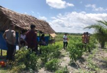 Problem Solving, Bhabinkambitmas Selesaikan Masalah Antara Warga Desa Martasari Dan Warga Desa Pajalele