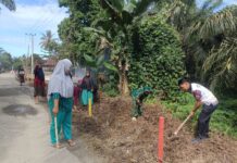 Bhabinkambitmas Polsek Sarudu Kerja Bakti Bersama Warga di desa Binaan,