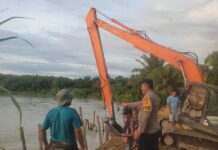 Cegah Tanggul Jebol, Bhabinkambitmas Polsek Pasangkayu Pantau Pemasangan Pancang Pohon Kelapa Di Pinggir Sungai