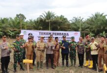 Wakapolda Sulbar bersama Danrem 142/ Tatag. Dampingi Pj. Gubernur Sulbar Kunjungi Kabupaten Pasangkayu.