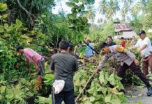 Peduli Lingkungan, Bhabinkamtibmas Polsek Bambalamotu bersama Warga Lakukan Kerja Bakti