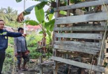 Terima Laporan Dari Warga, Bhabinkamtibmas Polsek Bambalamotu Datangi TKP Diduga Pencurian Ternak