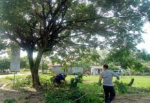 Bhabinkamtibmas Polsek Pasangkayu Bantu Warga Pangkas Ranting Pohon di Pinggir Jalan