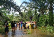 Bhabinkamtibmas Polsek Sarudu Bersama Warga Mengevakuasi Mobil Truk Yang Masuk Kedalam Parit.