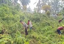 Bhabinkamtibmas Polsek Bambalamotu dan Babinsa Membaur Dengan Masyarakat Melaksanakan Kerja Bakti