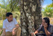 SERUAN TOKOH MASYARAKAT DAN TOKOH POLITIK SUARAKAN PILKADA DAMAI.