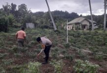 Dukung Ketahanan Pangan, Bhabinkamtibmas Polsek Pasangkayu Motivasi Warga Binaan