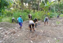 Bhabinkamtibmas Polsek Bambalamotu Ajak Warga Dukung Program Ketahanan Pangan dan Jaga Kamtibmas