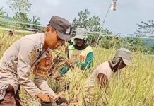 Bhabinkamtibmas Polsek Sarudu Ajak Masyarakat Ciptakan Swasembada Pangan