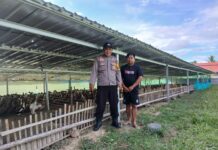 Bhabinkamtibmas Polsek Baras Melaksanakan Program Ketahanan Pangan Dengan Mengunjungi Peternak Bebek