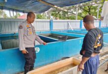 Dukung Asta Cita Presiden, Kapolsek Pasangkayu Kunjungi Peternak Ikan Lele