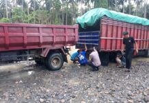 Bhabinkamtibmas Polsek Bambalamotu Bantu Warga Derek Mobil Yang Mogok Di Sungai