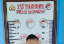 DPO Kasus Narkotika, Tertangkap Di Surumana