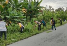 Sinergitas TNI-Polri: Bhabinkamtibmas Polsek Baras Dan Babinsa Kerja Bakti Bersama Masyarakat