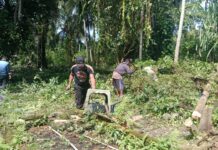 Polsek Sarudu Bersihkan Lahan Untuk Dukung Program Ketahanan Pangan