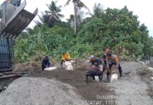 Bhabinkamtibmas Polsek Sarudu Gotong Royong Bersama Warga Dan Aparat Desa, Menanggulangi Mitigasi Bencana Abrasi Sungai