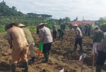 Dukung Asta Cita, Polsek Pasangkayu Bersama PT. Pasangkayu Lakukan Penanaman Jagung Serentak 1 Juta Hektar