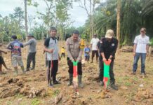Bhabinkamtibmas Polsek Baras Bersama Warga Binaan Tanam Jagung Dukung Swasembada Pangan