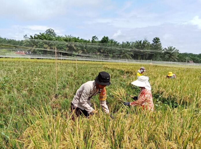 WhatsApp Image 2025-04-24 at 03.50.37