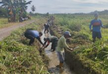 Bhabinkamtibmas Polsek Bambalamotu Kerja Bakti Bersama Warga Binaannya