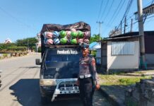 Sat Lantas Polres Pasangkayu Lakukan Penindakan Dan Sosialisasi Terkait Kendaraan Over Dimensi Dan Over Loading