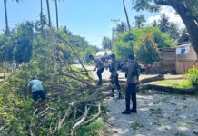 Cegah Pohon Tumbang, Sat Samapta Polres Pasangkayu Bantu Warga Tebang Pohon Di Tanjung Babia