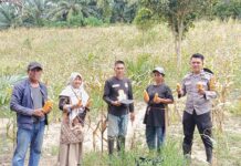 Bhabinkamtibmas Bambalamotu Kunjungi Petani Jagung Dalam Mendukung Asta Cita