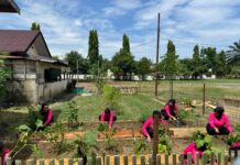 Bhayangkari Ranting Polsek Sarudu Dukung Ketahanan Pangan Nasional melalui Program Pekarangan Pangan Lestari (P2L)