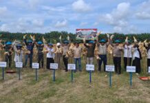 Kabag Ops Polres Pasangkayu Hadiri Panen Raya Jagung Di Kebun PT. Unggul WTL