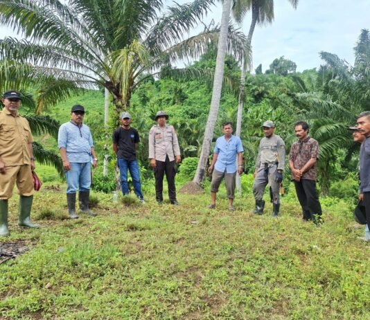 Yanmas Polsek Baras Dampingi Pemerintah Kecamatan Baras dalam Mediasi Batas Lokasi Kebun Warga