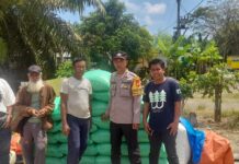 Polsek Baras Dampingi Penanaman dan penimbangan Hasil Penanaman Jagung Kwartal Ke 3 Tahun 2025