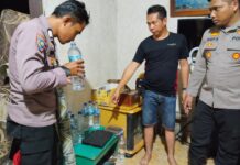 Polsek Baras dan Satresnarkoba Grebek Penjual Miras di Desa Motu, Puluhan Botol Cap Tikus Diamankan