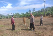 Sinergi Dukung Ketahanan Pangan, Kasat Binmas Polres Pasangkayu Koordinasi Penanaman Jagung Serentak di Desa Karya Bersama