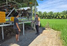 Bincang Hangat di Kandang Ayam: Cara Bhabinkamtibmas Polsek Bambalamotu Bangun Kamtibmas di Desa Letawa